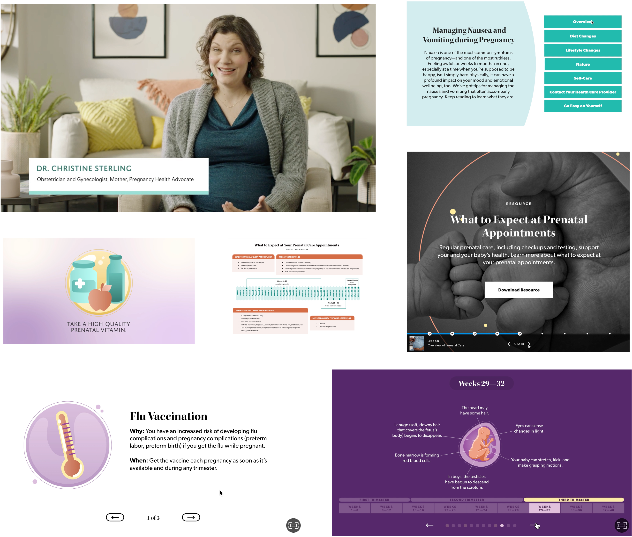 Overview of mPulse Mobile’s prenatal and postpartum solution